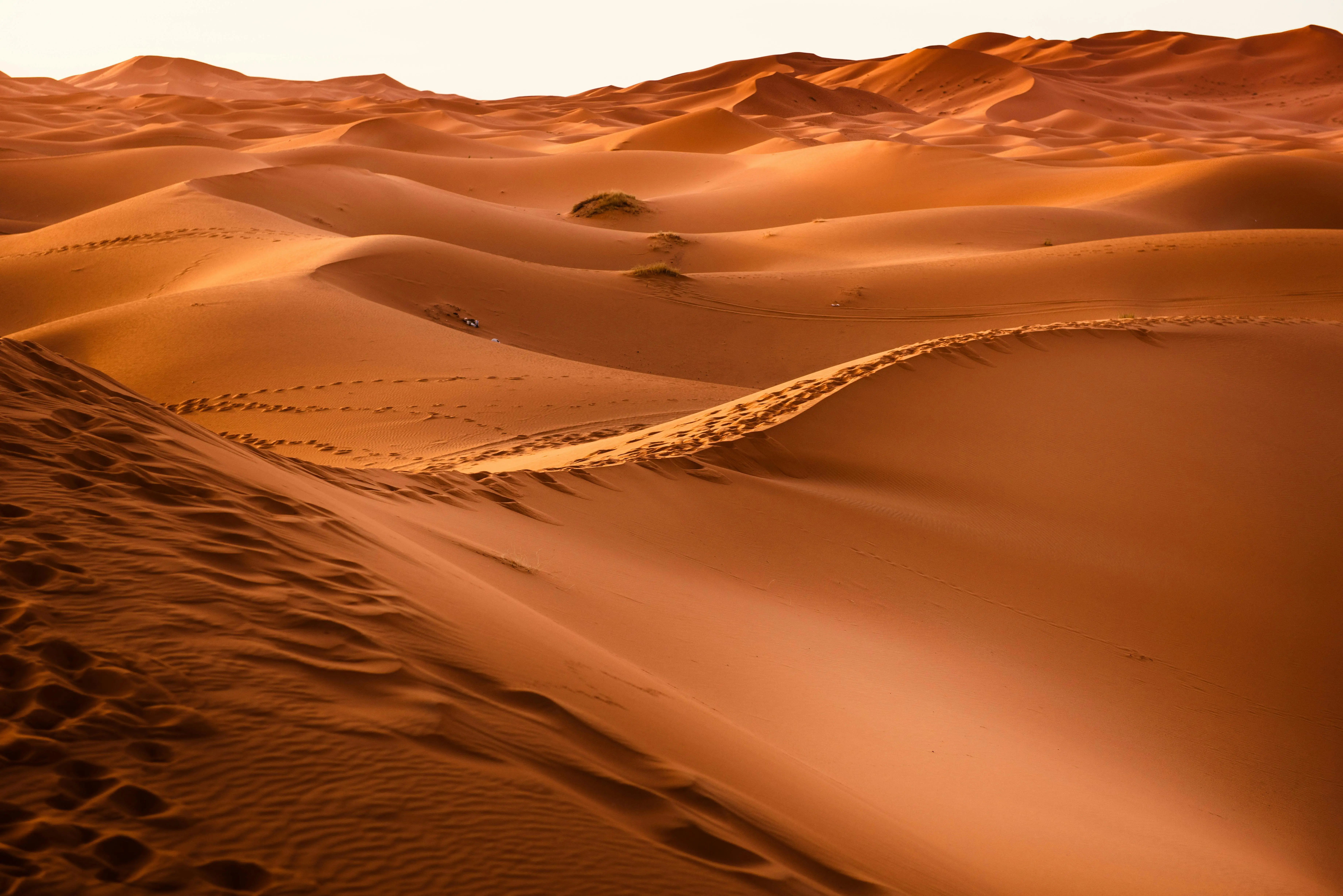  Vue du d&eacutesert du Sahara au Maroc, tendues de sable à perte de vue.