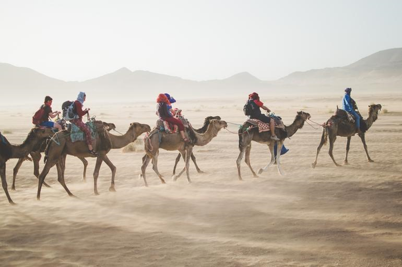 Un groupe de personnes chevauchant des chameaux dans le d&eaucutesert.